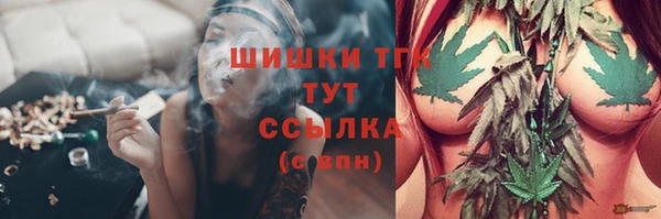 стаф Ладушкин