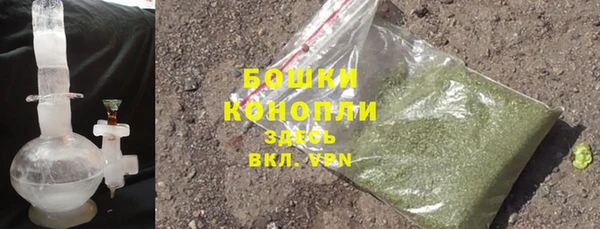 индика Россошь