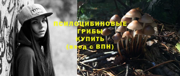 стаф Ладушкин