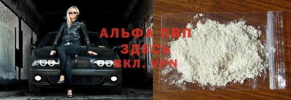 стаф Ладушкин