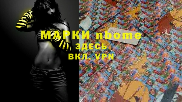 стаф Ладушкин