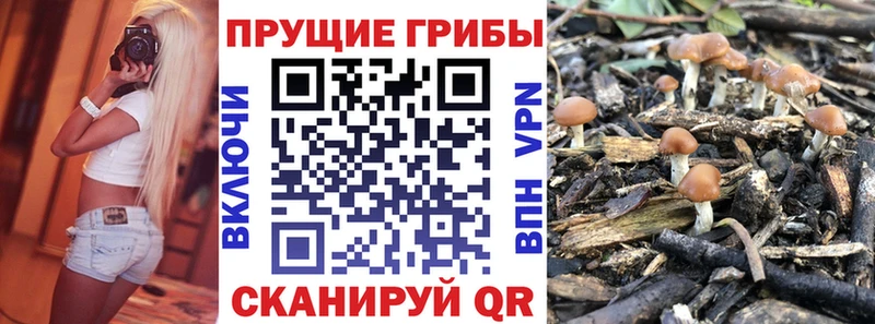 Галлюциногенные грибы Magic Shrooms  KRAKEN маркетплейс  мориарти как зайти  Цимлянск 